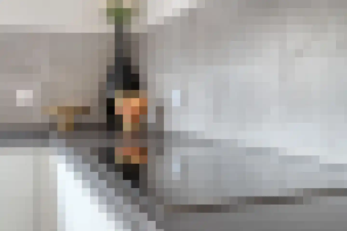 De Graspieper 7 Almelo thumbnail 13