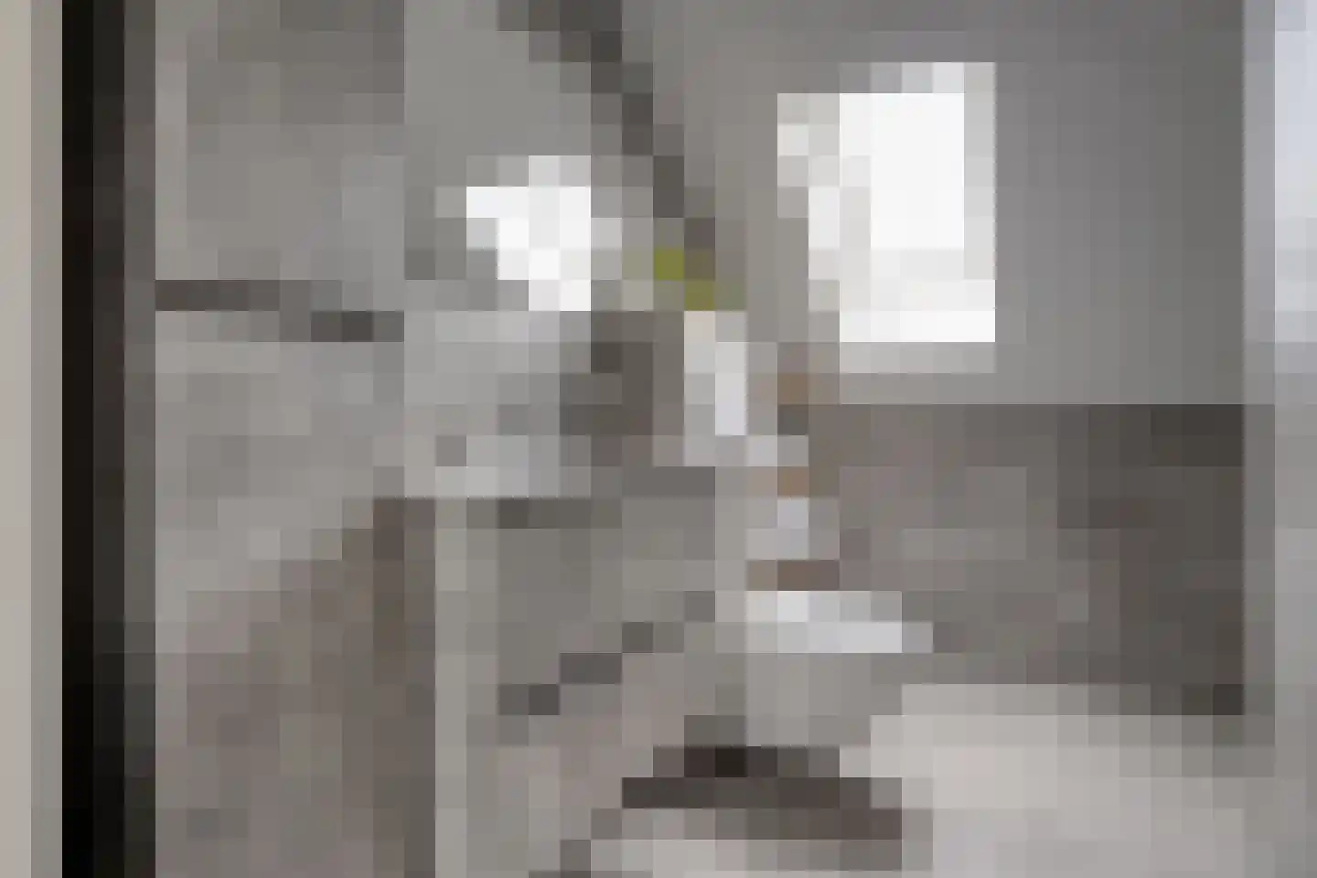 De Graspieper 7 Almelo thumbnail 23