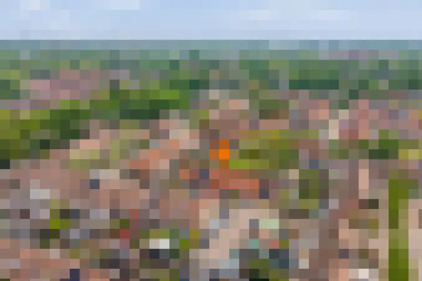 De Graspieper 7 Almelo thumbnail 33