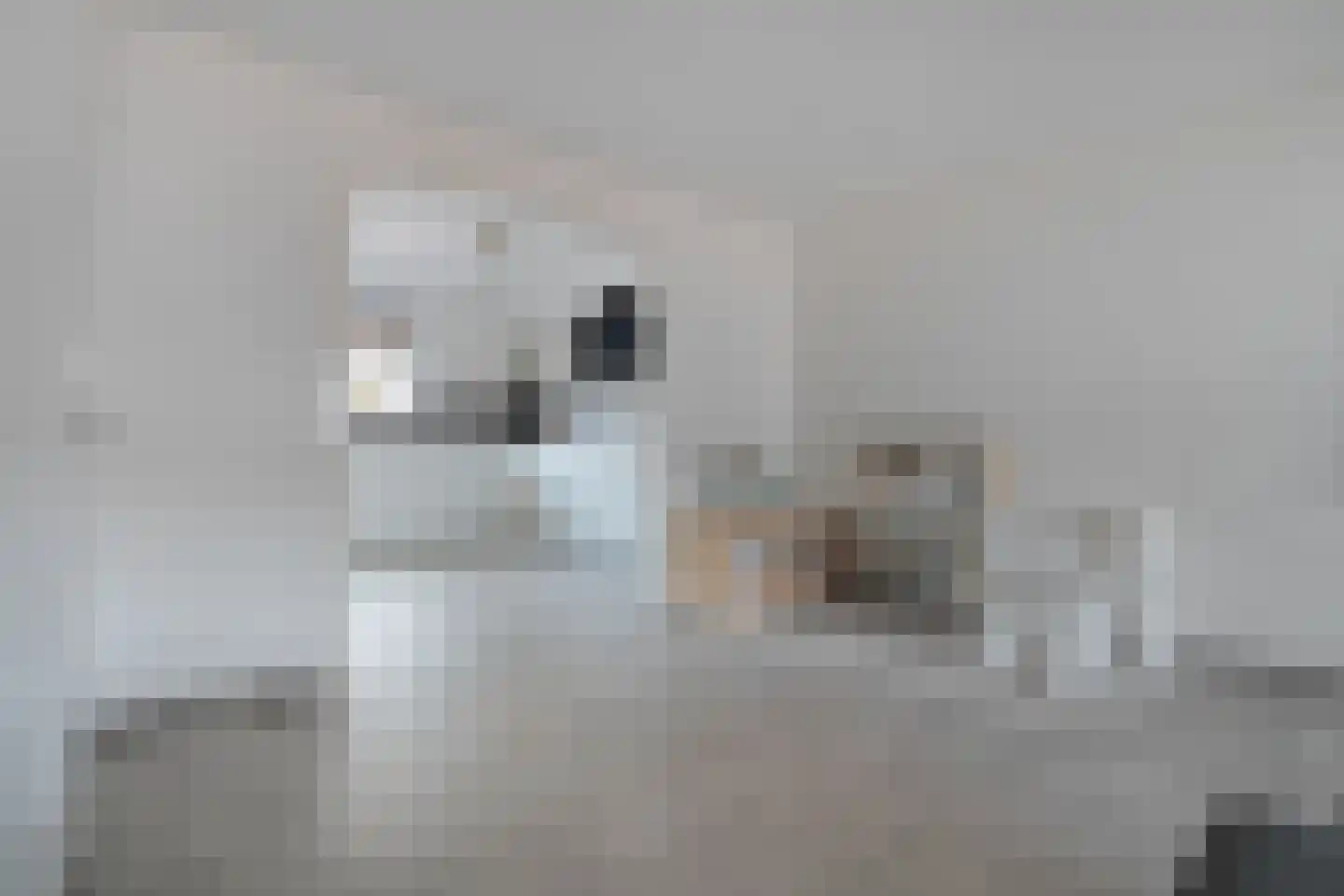 De Graspieper 7 Almelo thumbnail 9