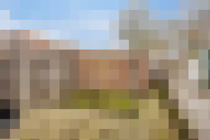 De Graspieper 70 Almelo thumbnail 21
