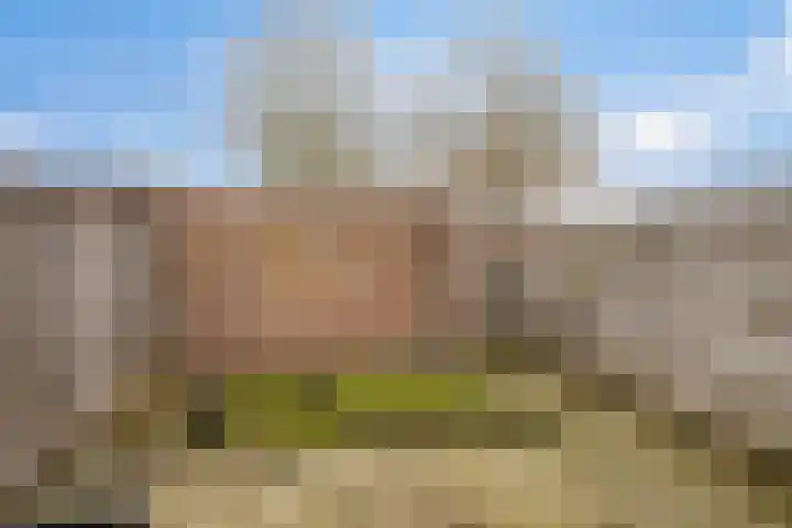 De Graspieper 70 Almelo thumbnail 22