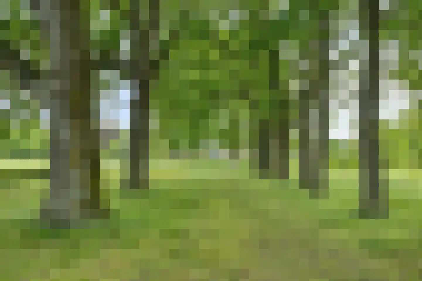 de Greefstraat 5 B Eindhoven thumbnail 28