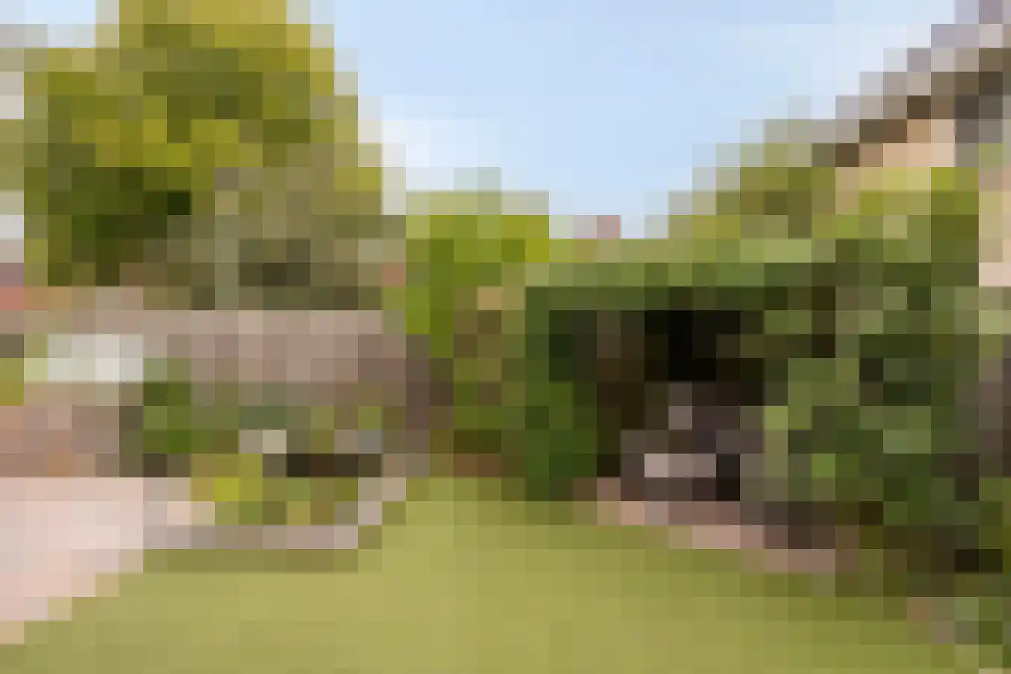 De Greend 6 Wessem thumbnail 25