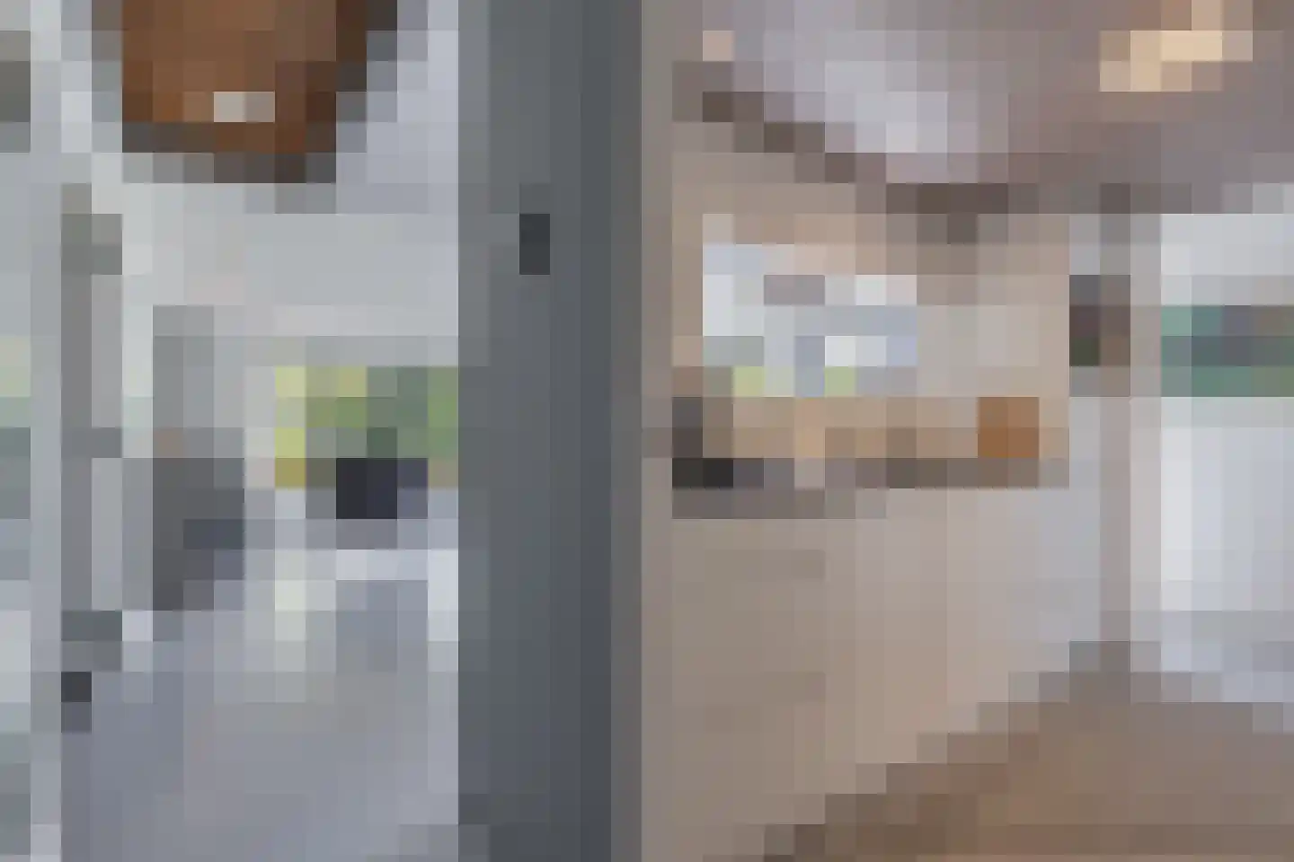 De Grêft 22 Mantgum thumbnail 11