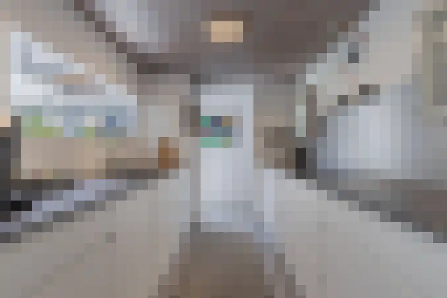 De Grêft 22 Mantgum thumbnail 12