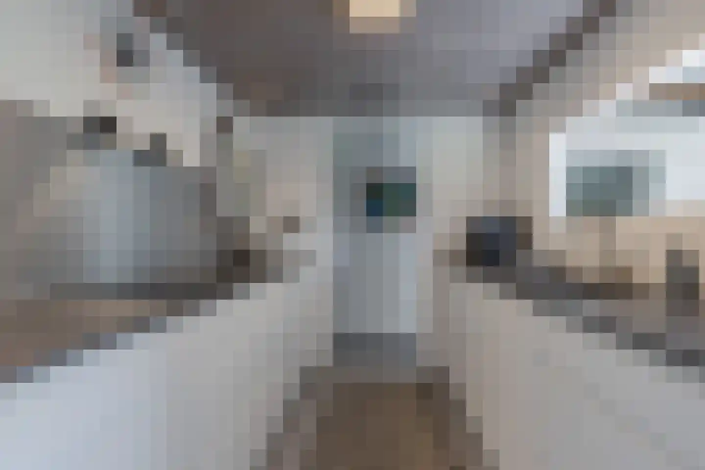 De Grêft 22 Mantgum thumbnail 13