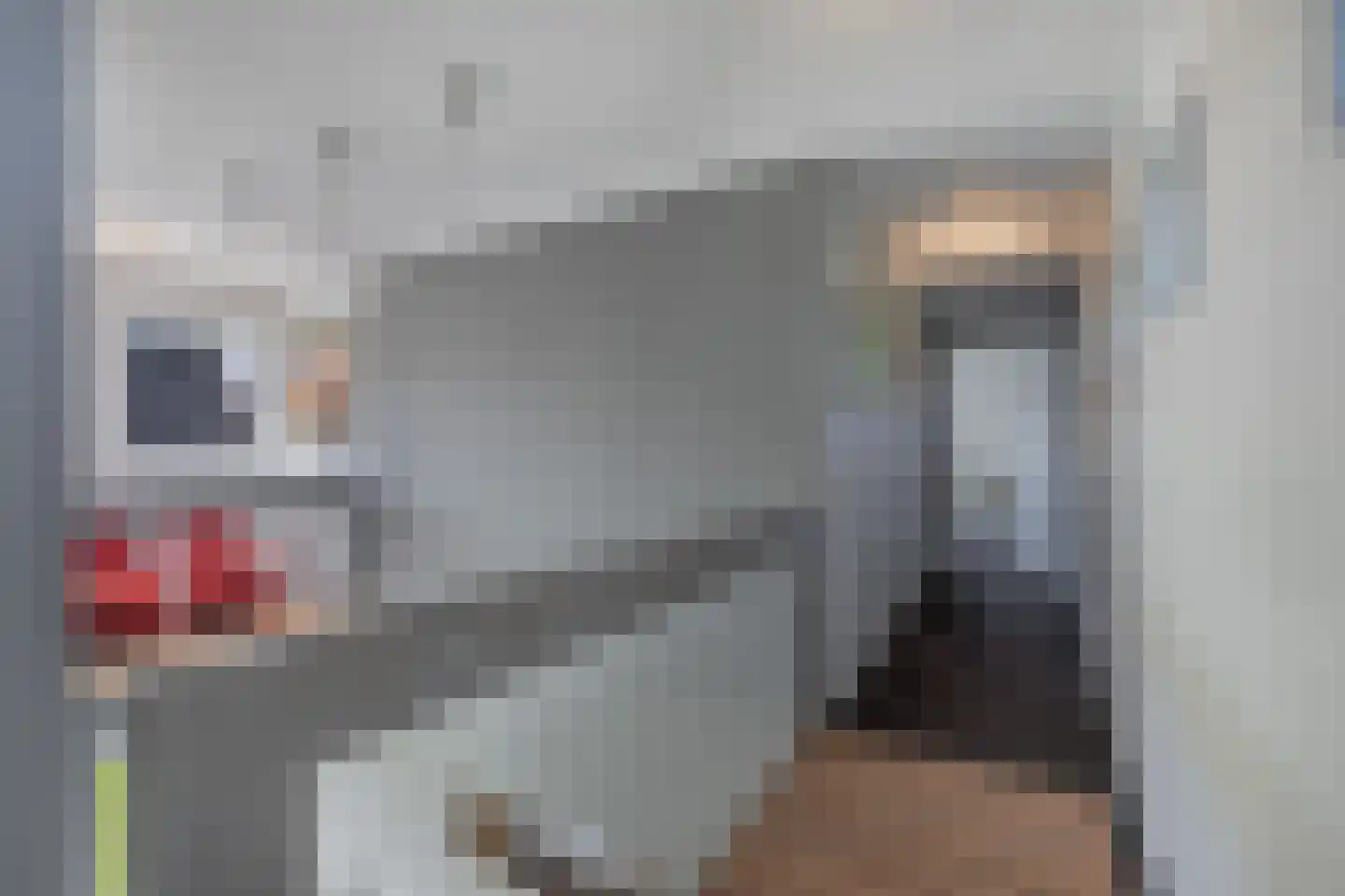De Grêft 22 Mantgum thumbnail 32