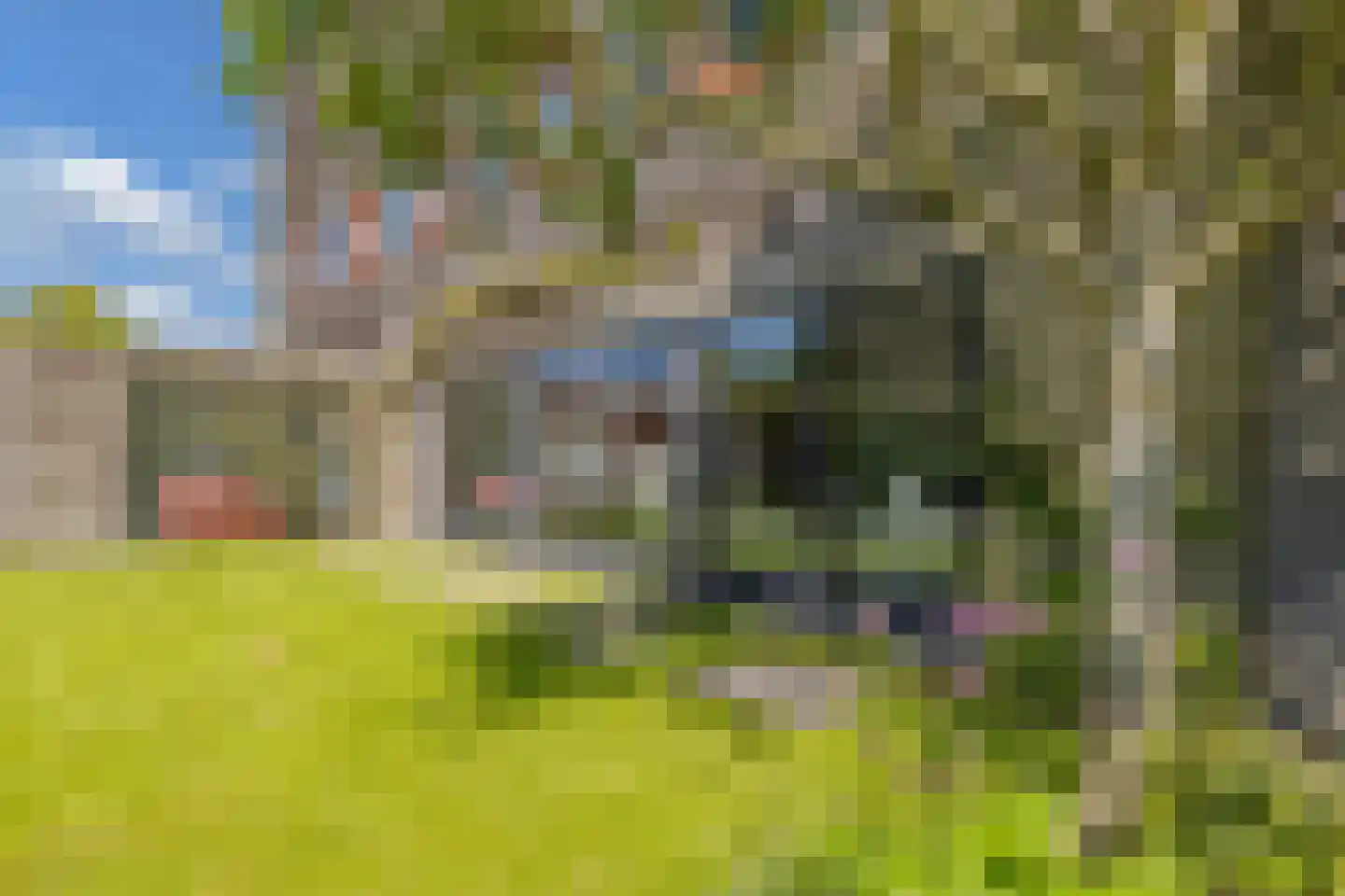 De Grêft 22 Mantgum thumbnail 48