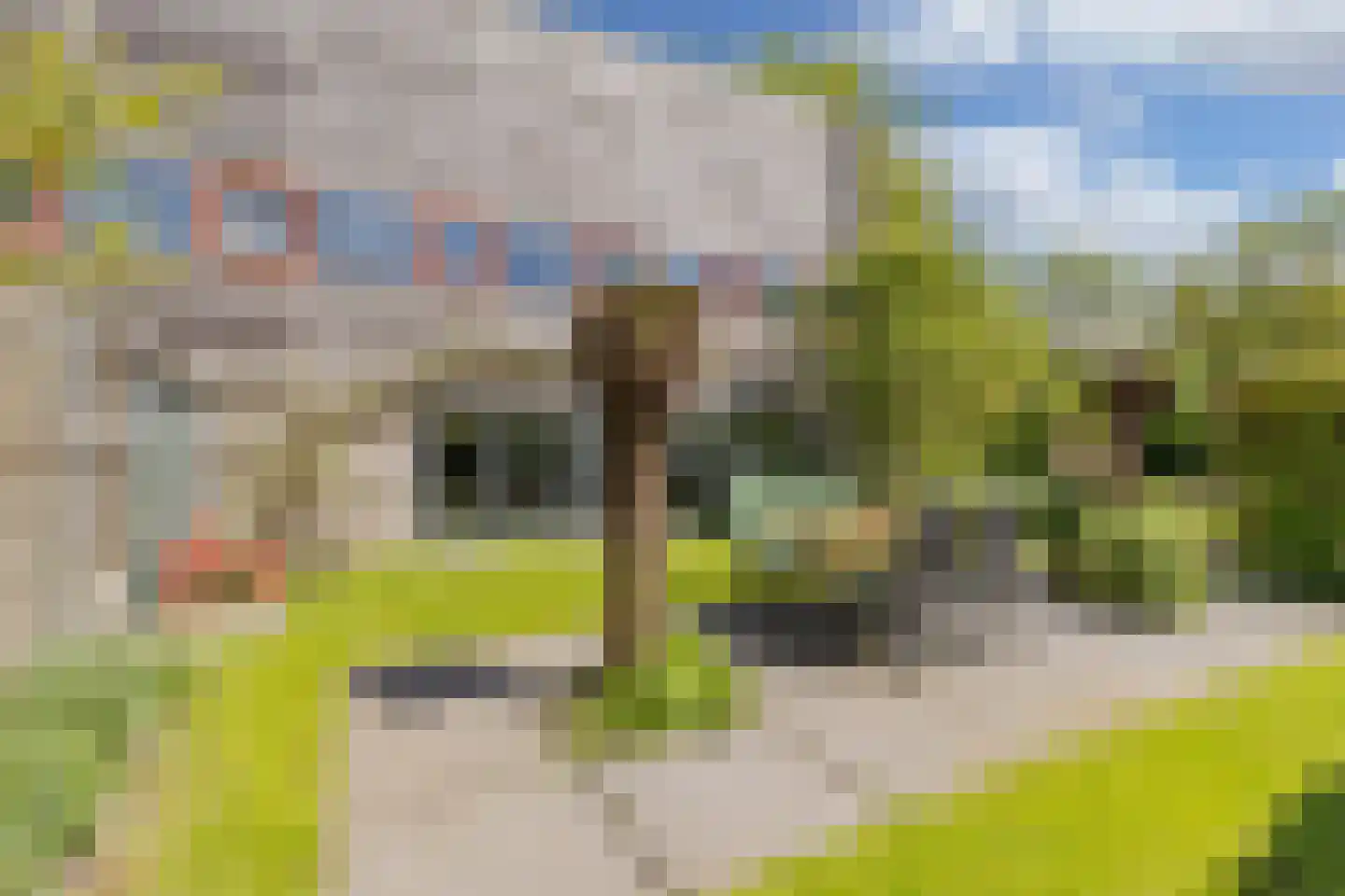 De Grêft 22 Mantgum thumbnail 49
