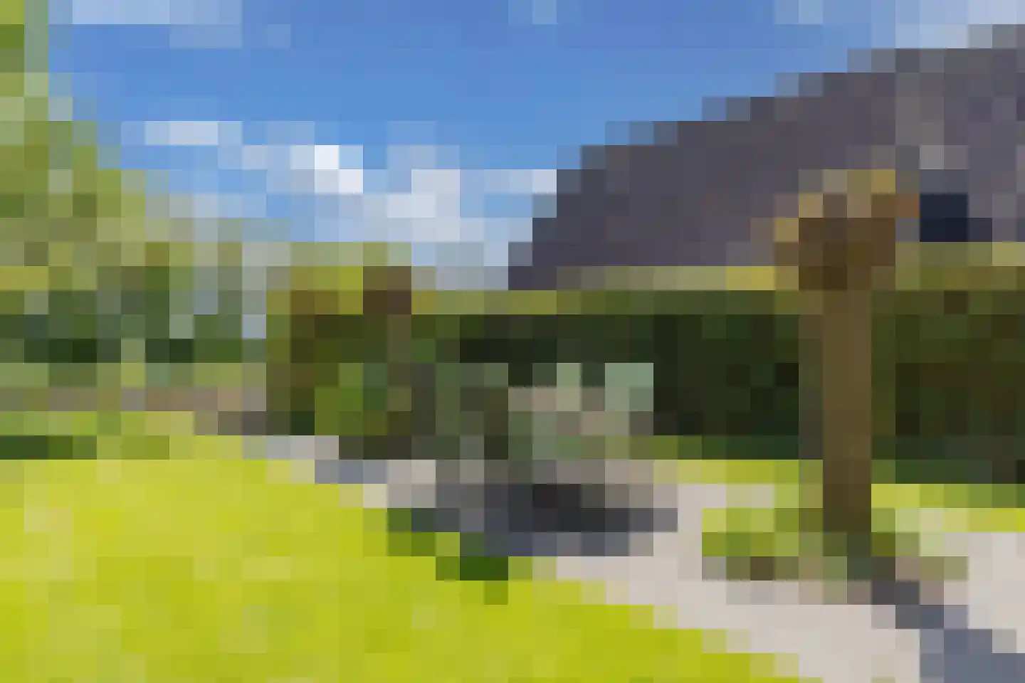 De Grêft 22 Mantgum thumbnail 51
