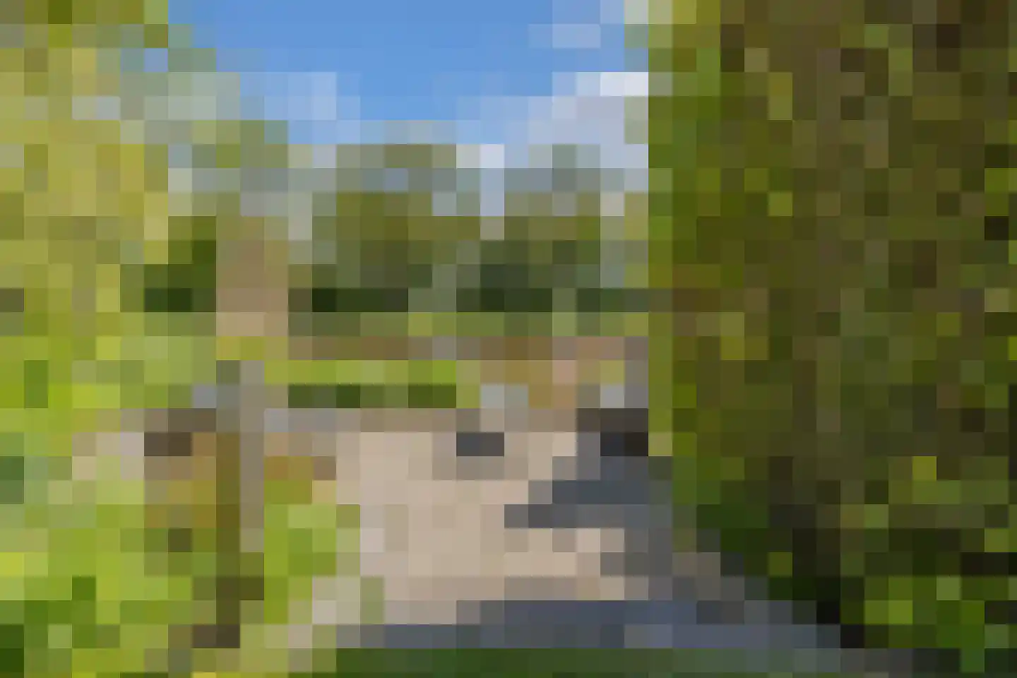 De Grêft 22 Mantgum thumbnail 53