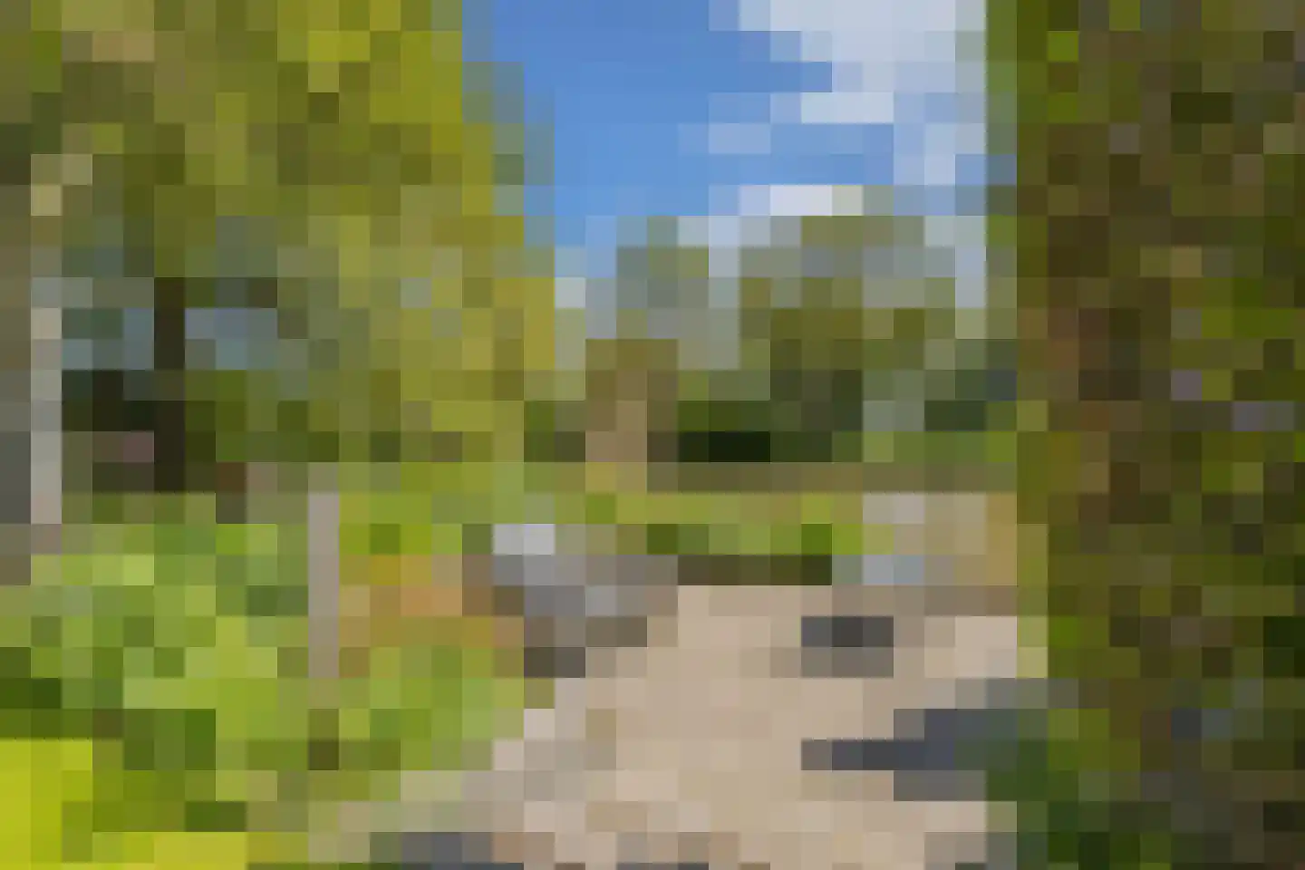 De Grêft 22 Mantgum thumbnail 55