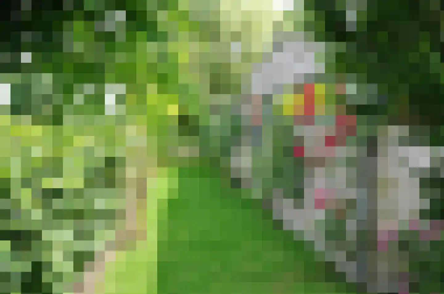 De Grêft 22 Mantgum thumbnail 58