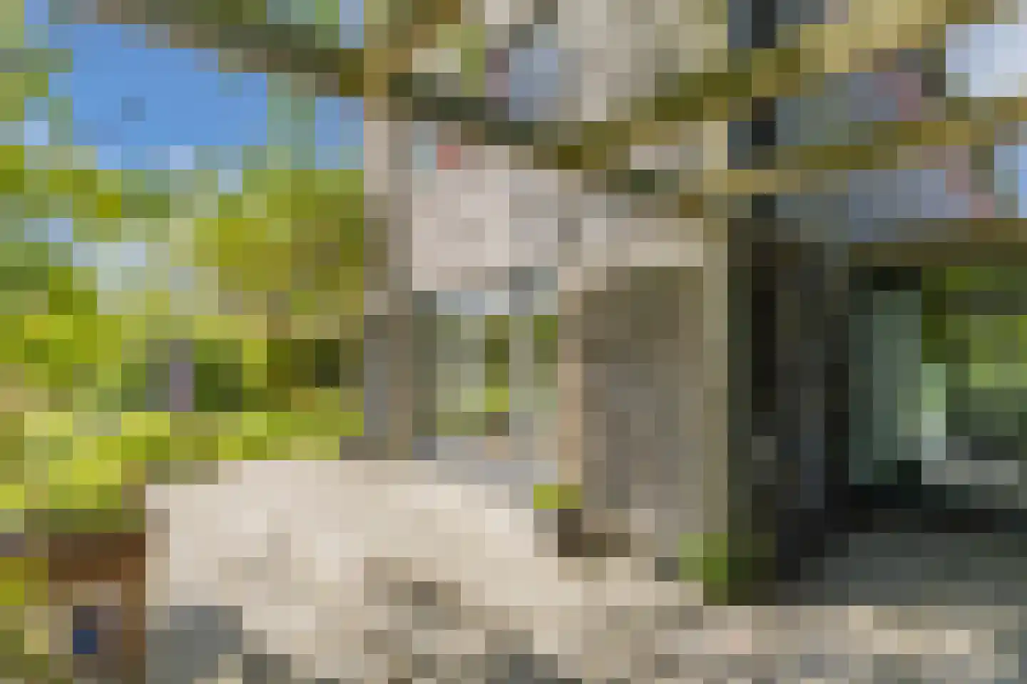 De Grêft 22 Mantgum thumbnail 59