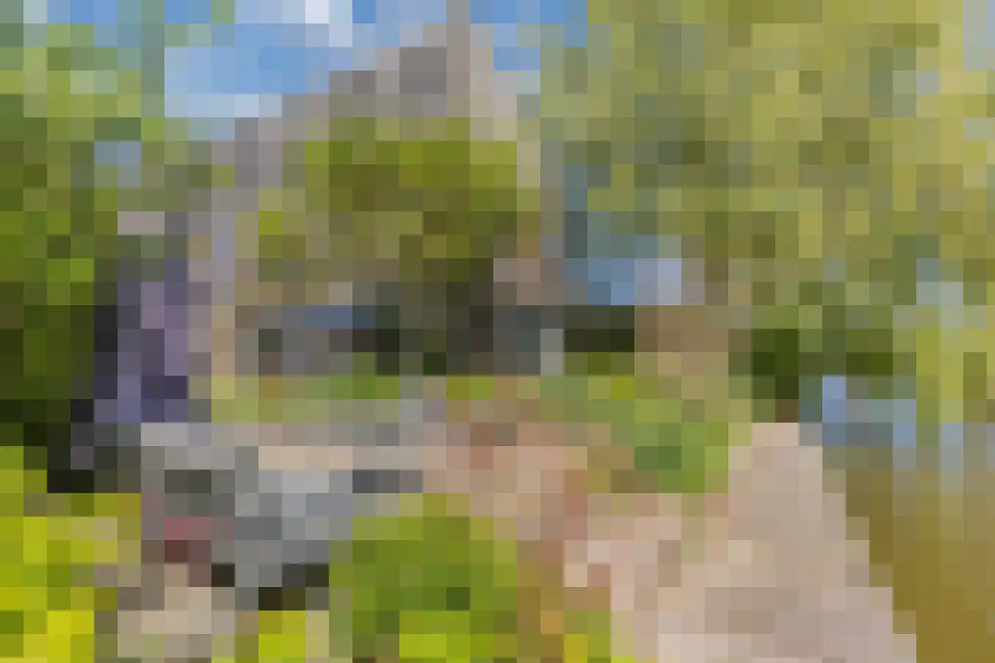 De Grêft 22 Mantgum thumbnail 68