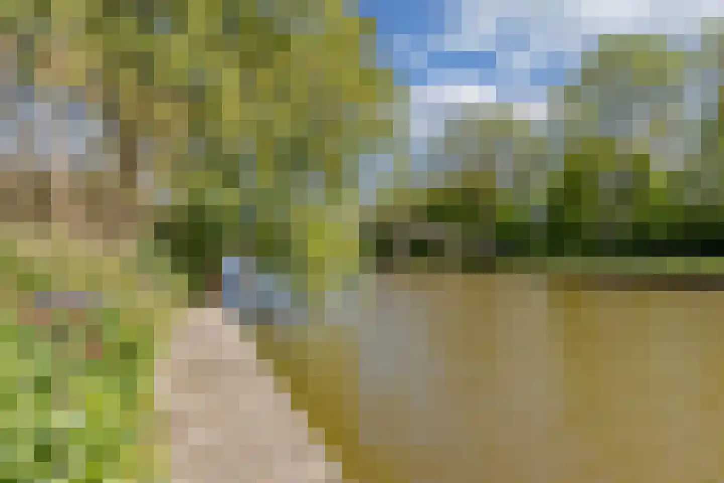 De Grêft 22 Mantgum thumbnail 69