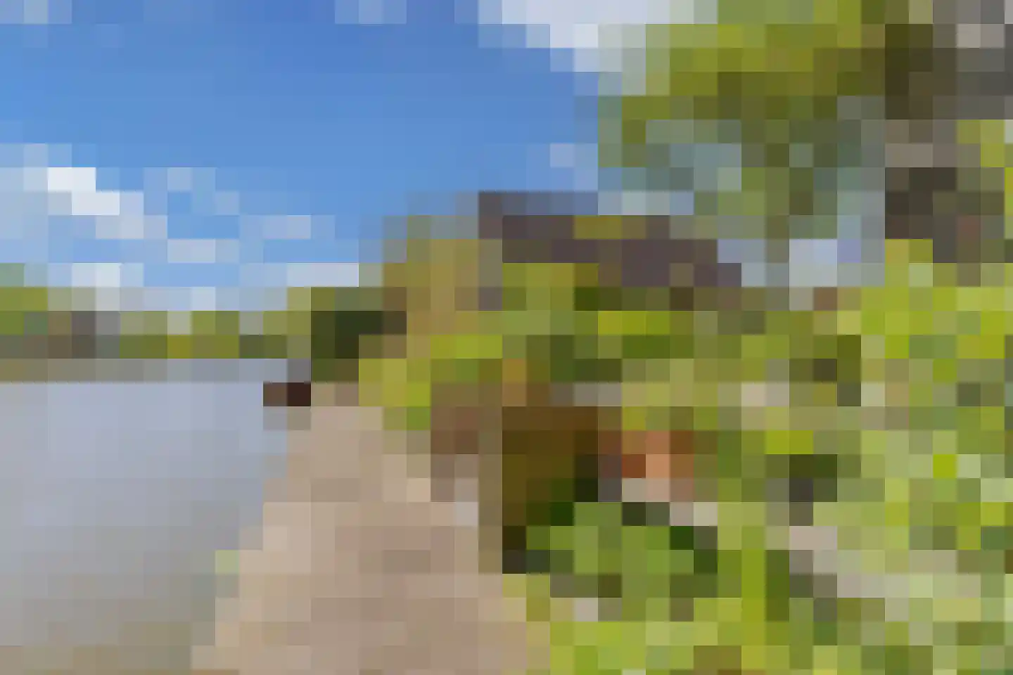 De Grêft 22 Mantgum thumbnail 71