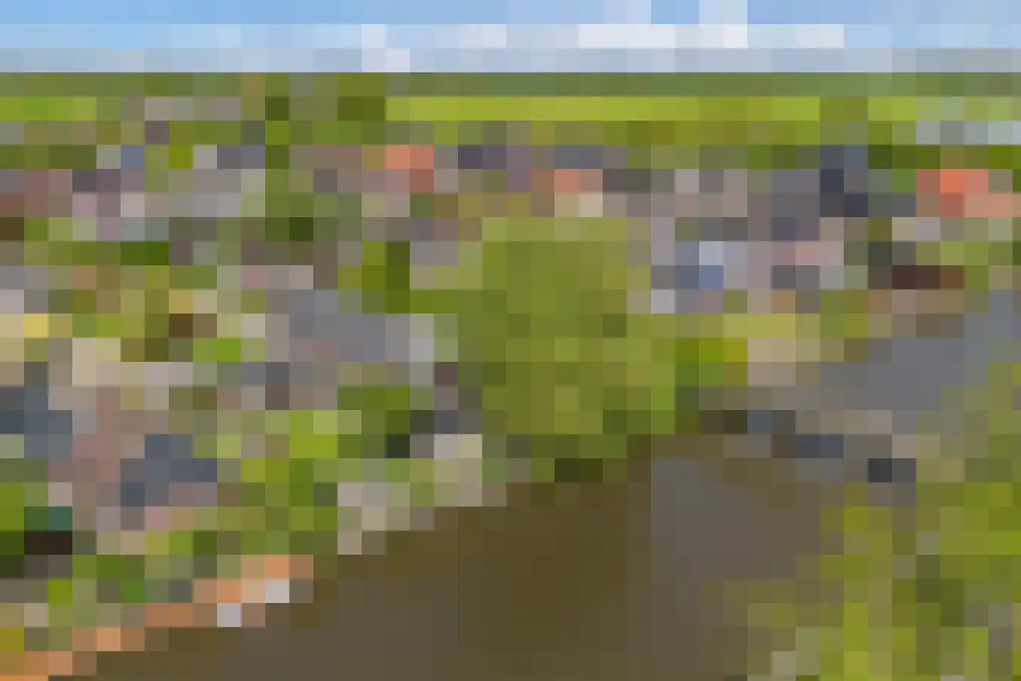 De Grêft 22 Mantgum thumbnail 76