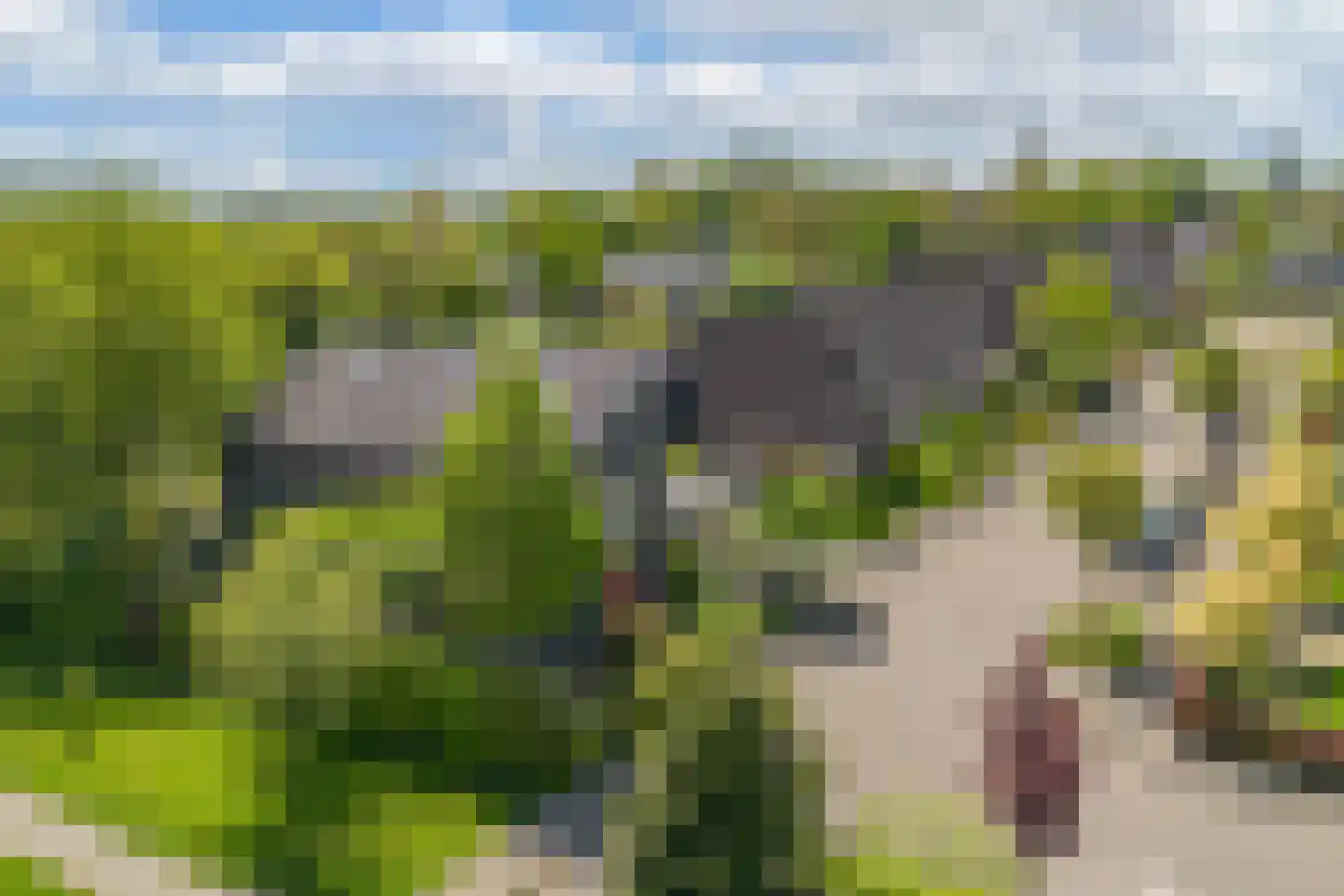 De Grêft 22 Mantgum thumbnail 79