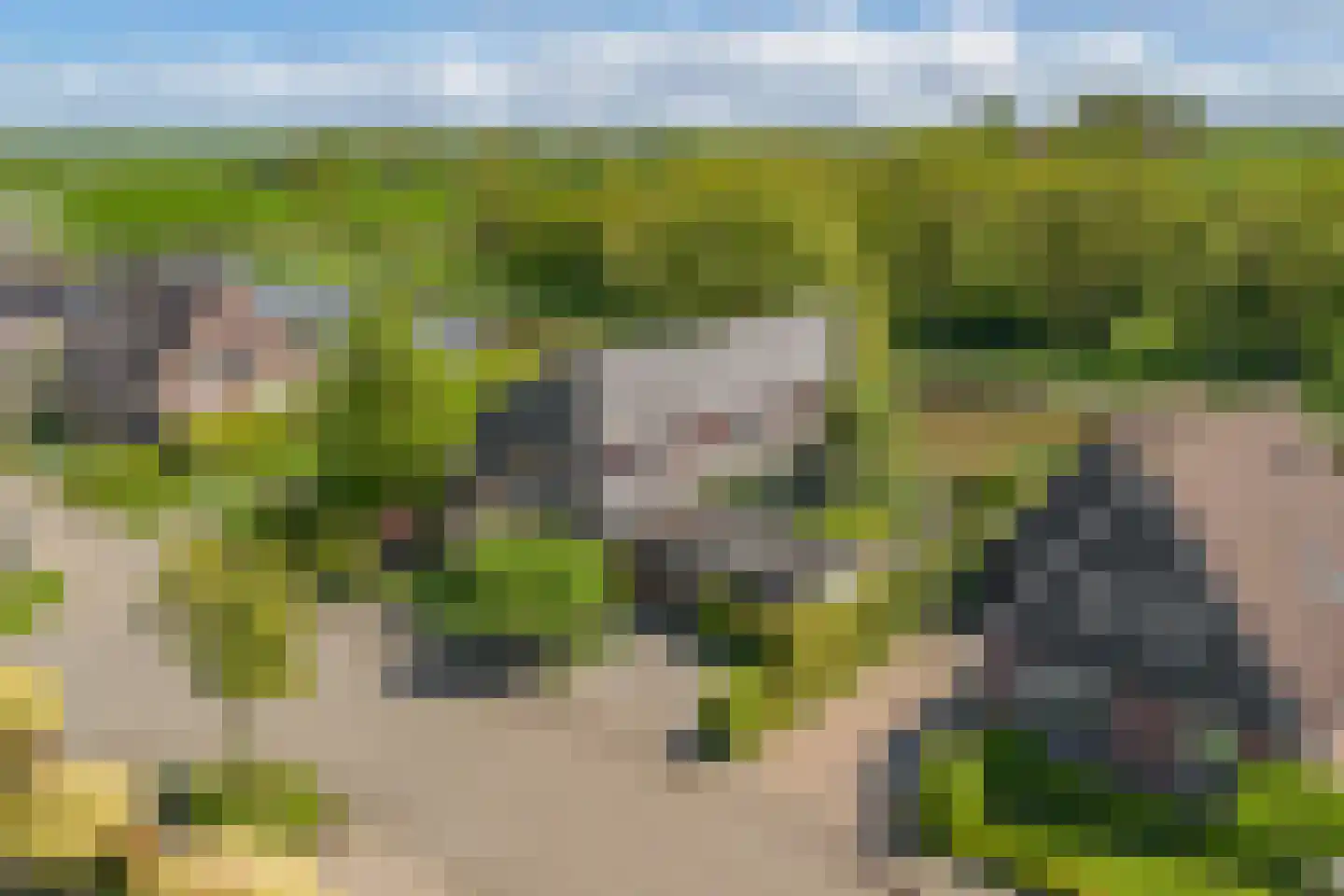 De Grêft 22 Mantgum thumbnail 80
