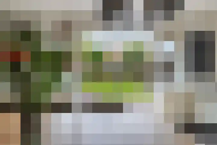 De Grêft 3 Mantgum thumbnail 25