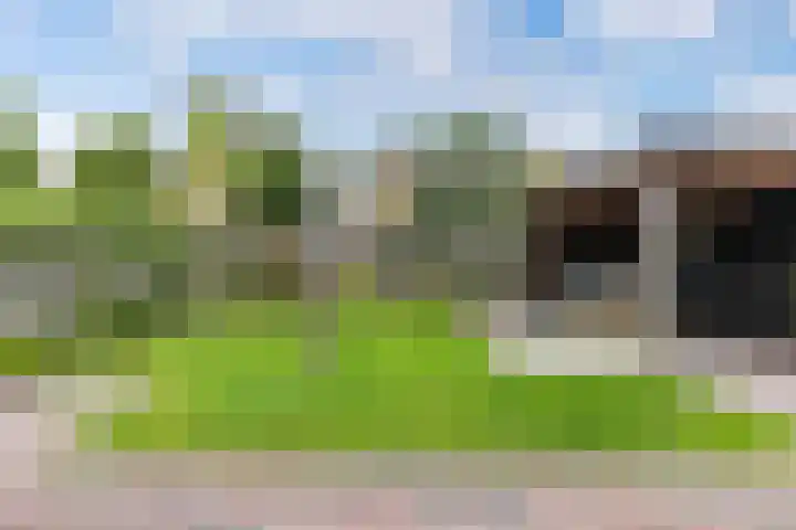 De Grêft 3 Mantgum thumbnail 48