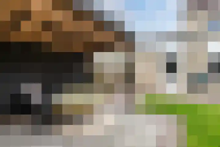 De Grêft 3 Mantgum thumbnail 50