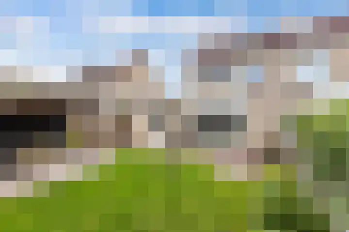 De Grêft 3 Mantgum thumbnail 51