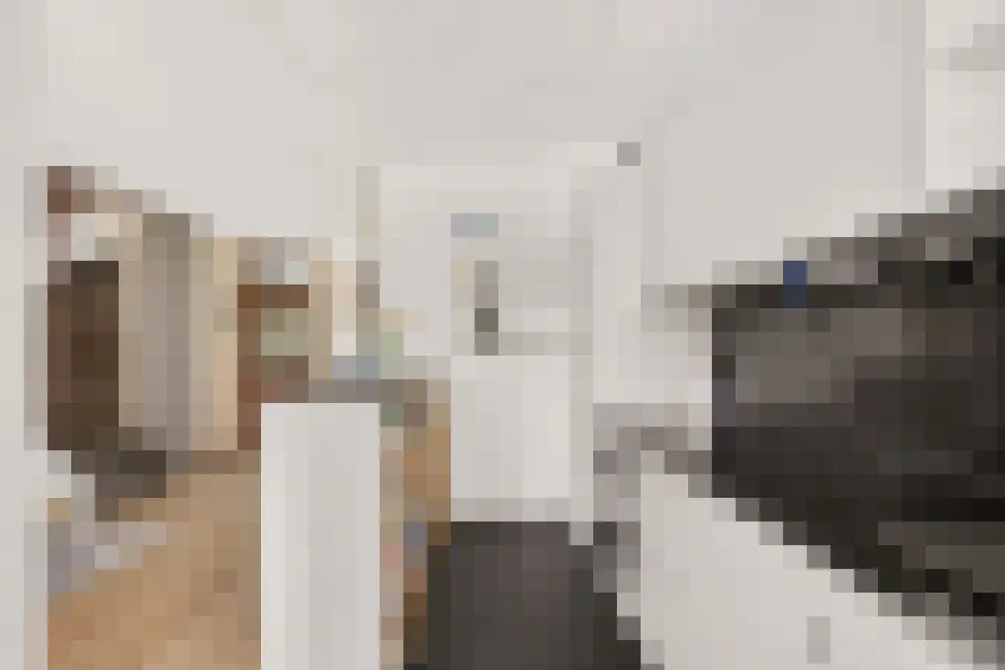 de Greide 3 Eindhoven thumbnail 17
