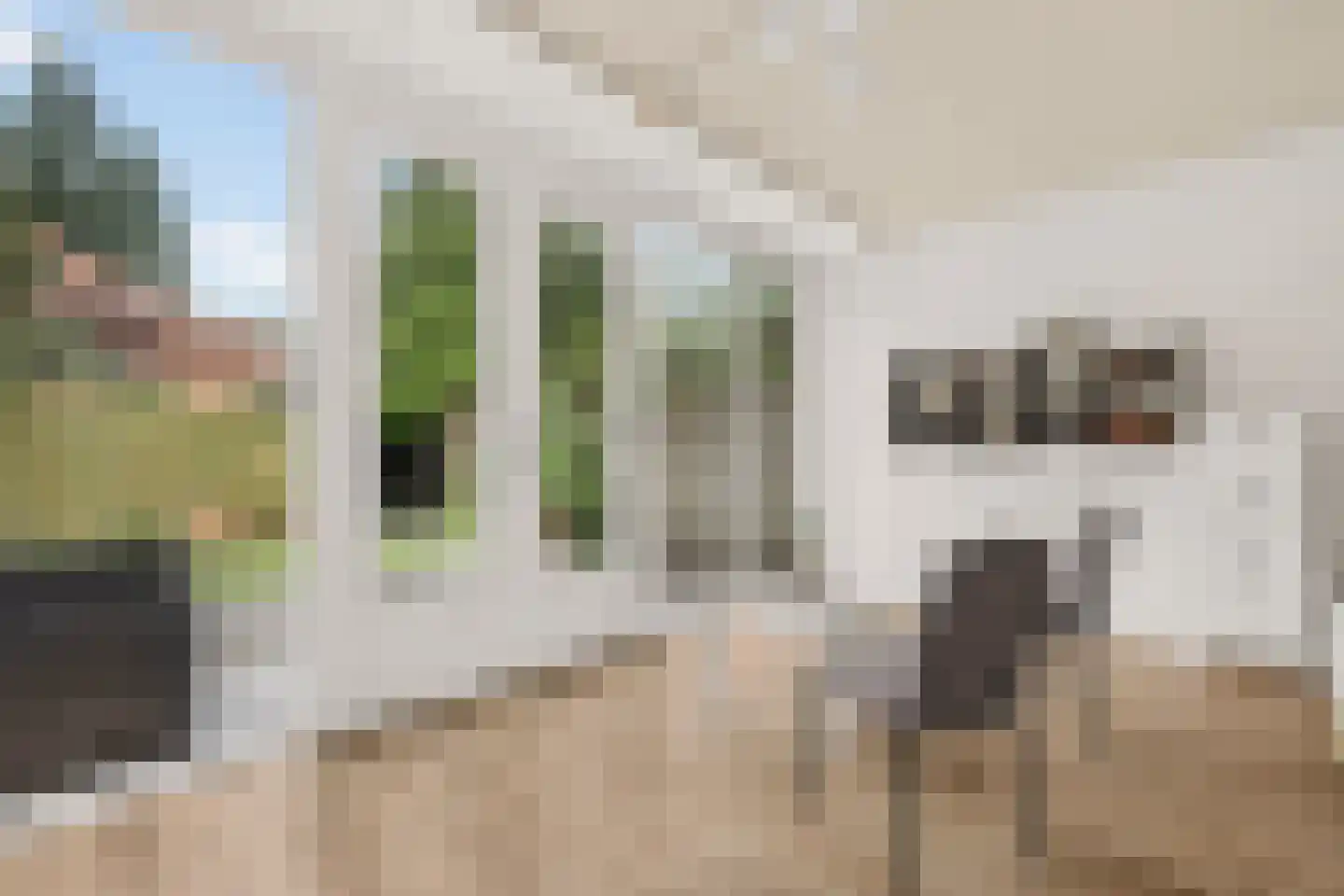 de Greide 3 Eindhoven thumbnail 20