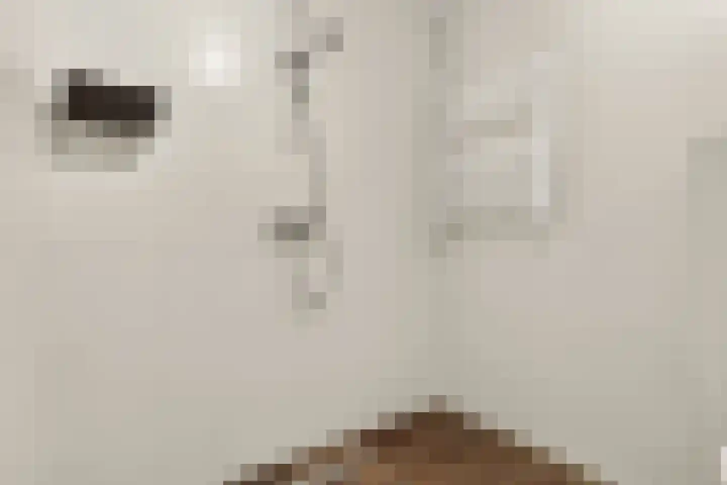 de Greide 3 Eindhoven thumbnail 33
