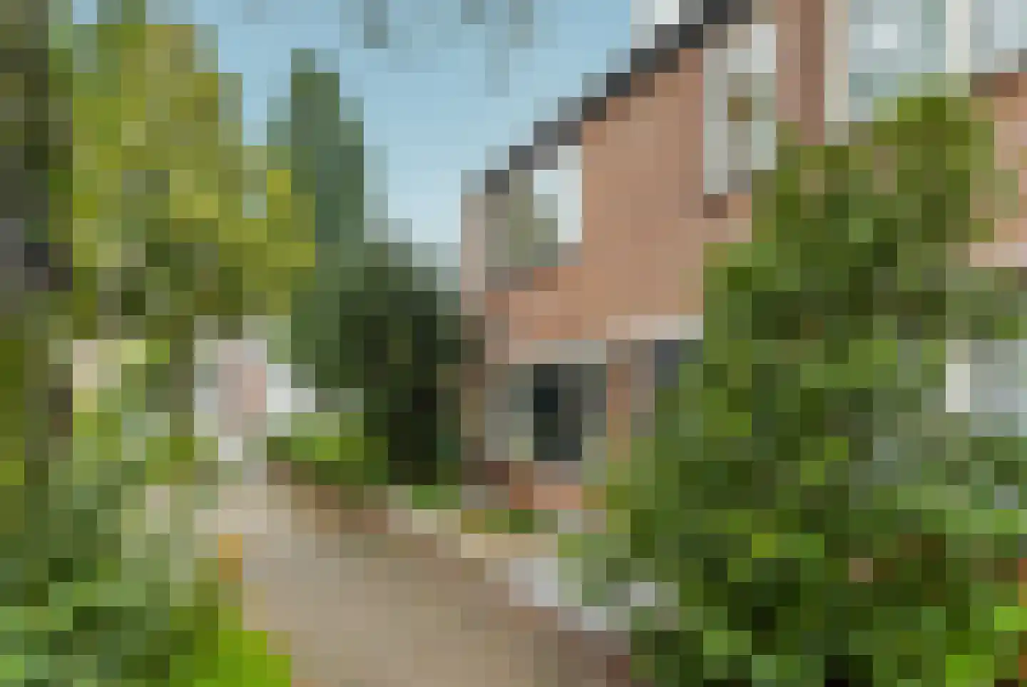 de Greide 3 Eindhoven thumbnail 40
