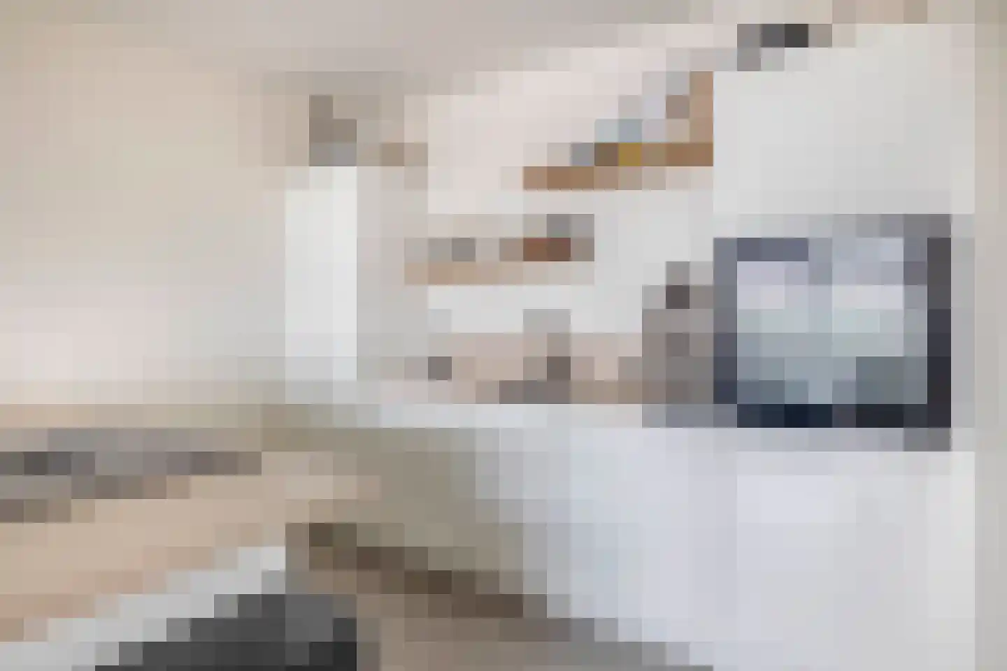 de Greide 36 Eindhoven thumbnail 18