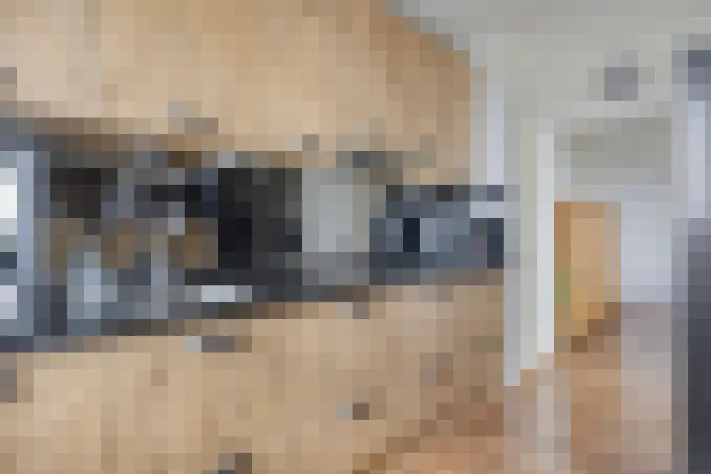 de Greide 37 Eindhoven thumbnail 17