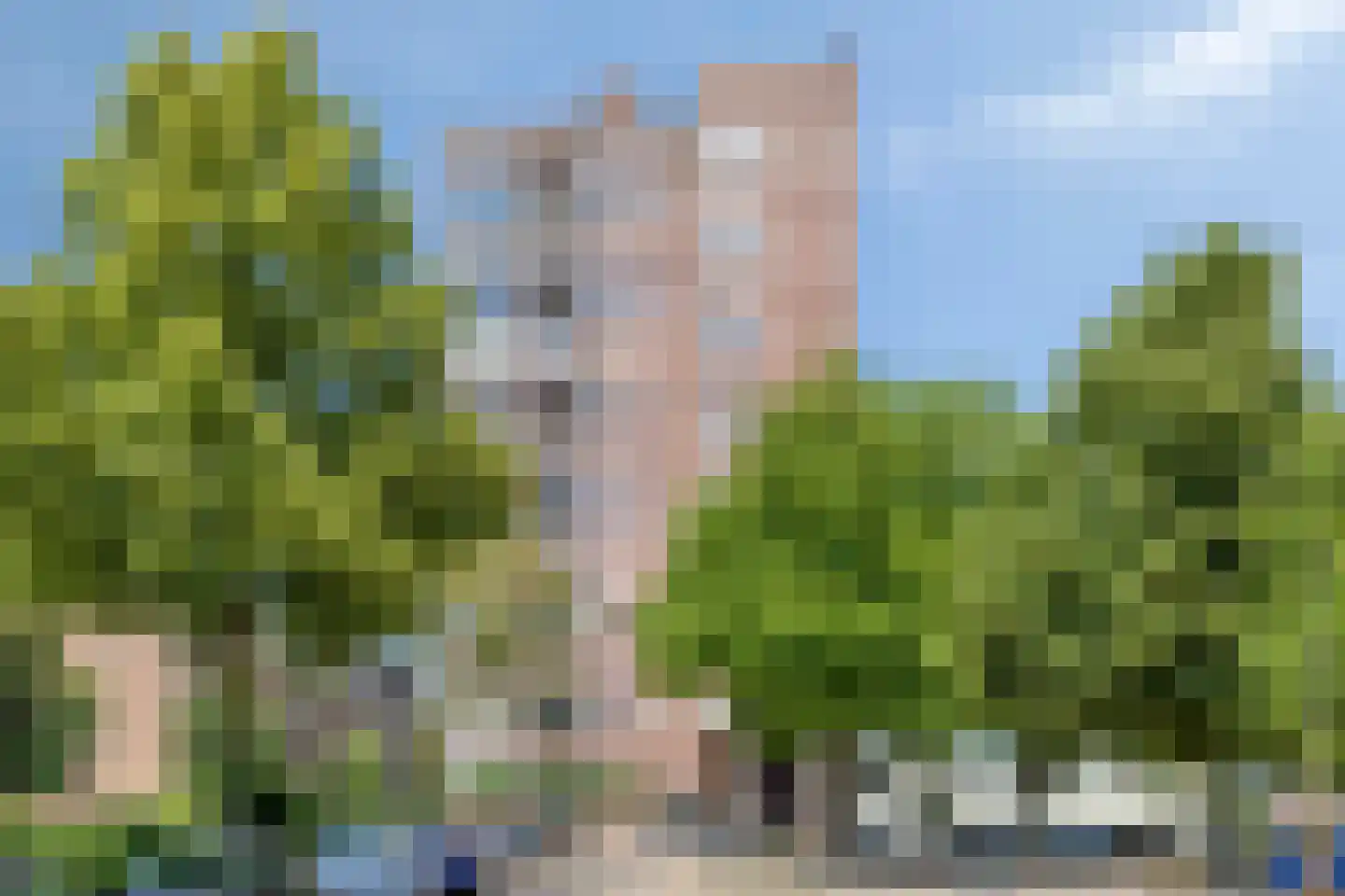 de Greide 37 Eindhoven thumbnail 4