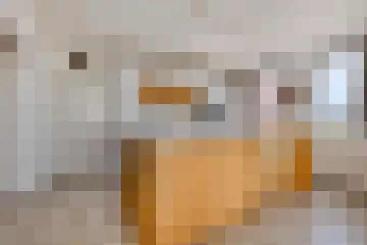 de Greide 46 Eindhoven thumbnail 14