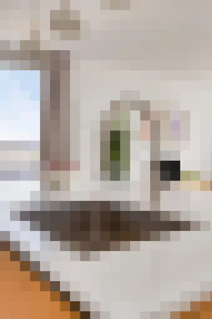 de Greide 46 Eindhoven thumbnail 16