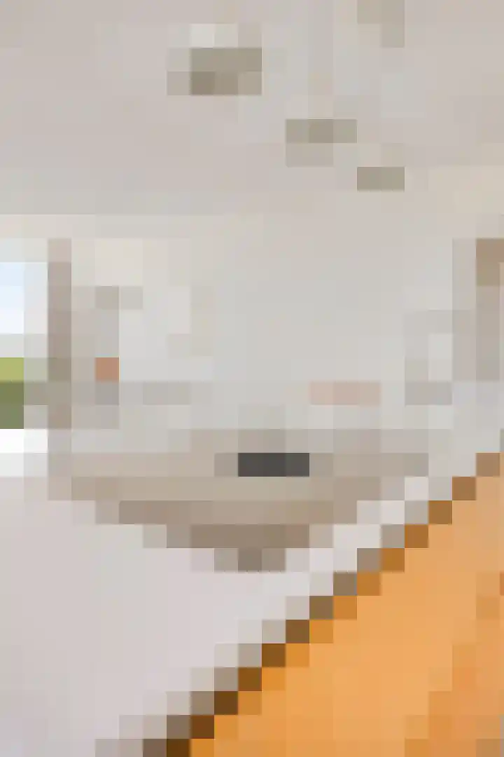 de Greide 46 Eindhoven thumbnail 17