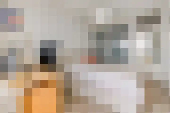 de Greide 46 Eindhoven thumbnail 20