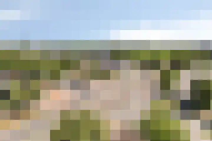 de Greide 46 Eindhoven thumbnail 24