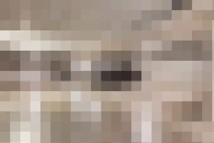 de Greide 46 Eindhoven thumbnail 26