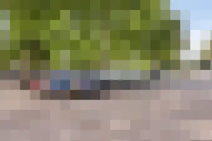 de Greide 46 Eindhoven thumbnail 28