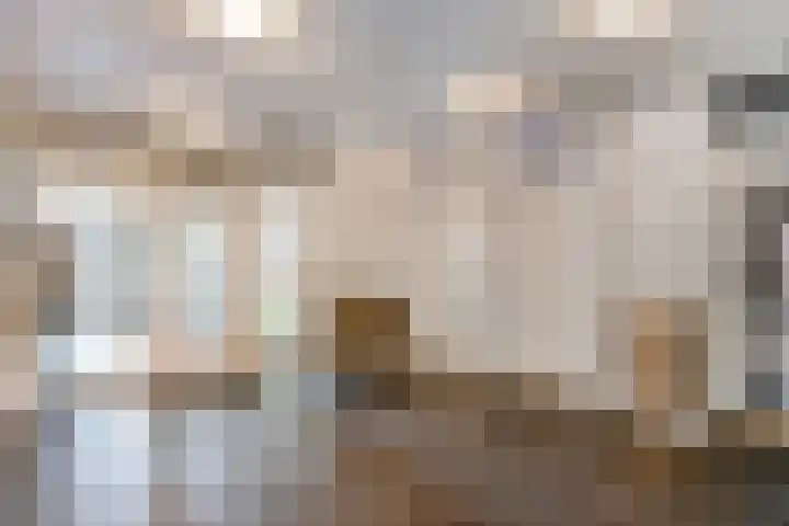de Greide 46 Eindhoven thumbnail 6