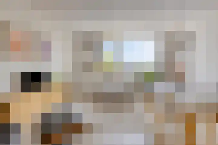 de Greide 46 Eindhoven thumbnail 8