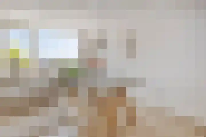 de Greide 46 Eindhoven thumbnail 9