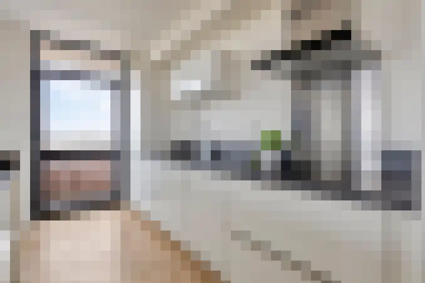 de Greide 59 Eindhoven thumbnail 22