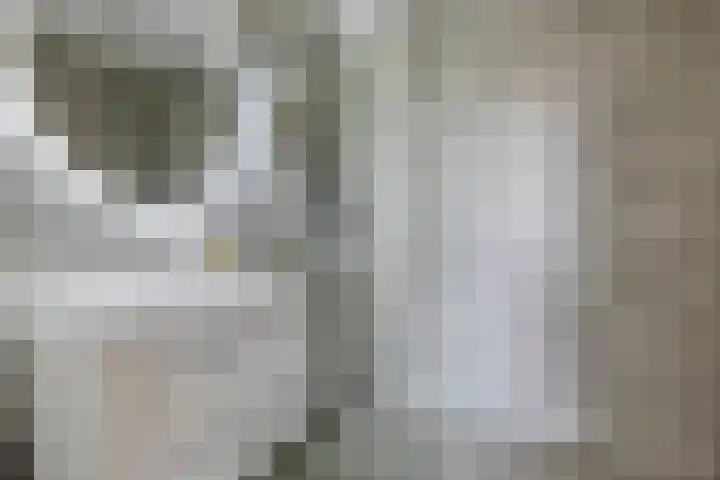 de Greide 59 Eindhoven foto 3