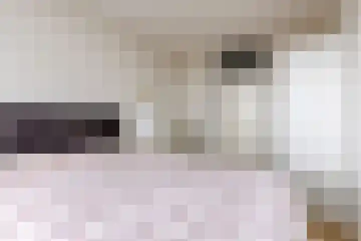 de Greide 59 Eindhoven thumbnail 35