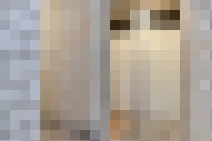 de Greide 59 Eindhoven thumbnail 37